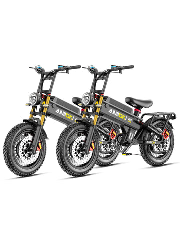 Bundle Sale - A8 Pro Max Dual Motor 60V 80Ah x 2