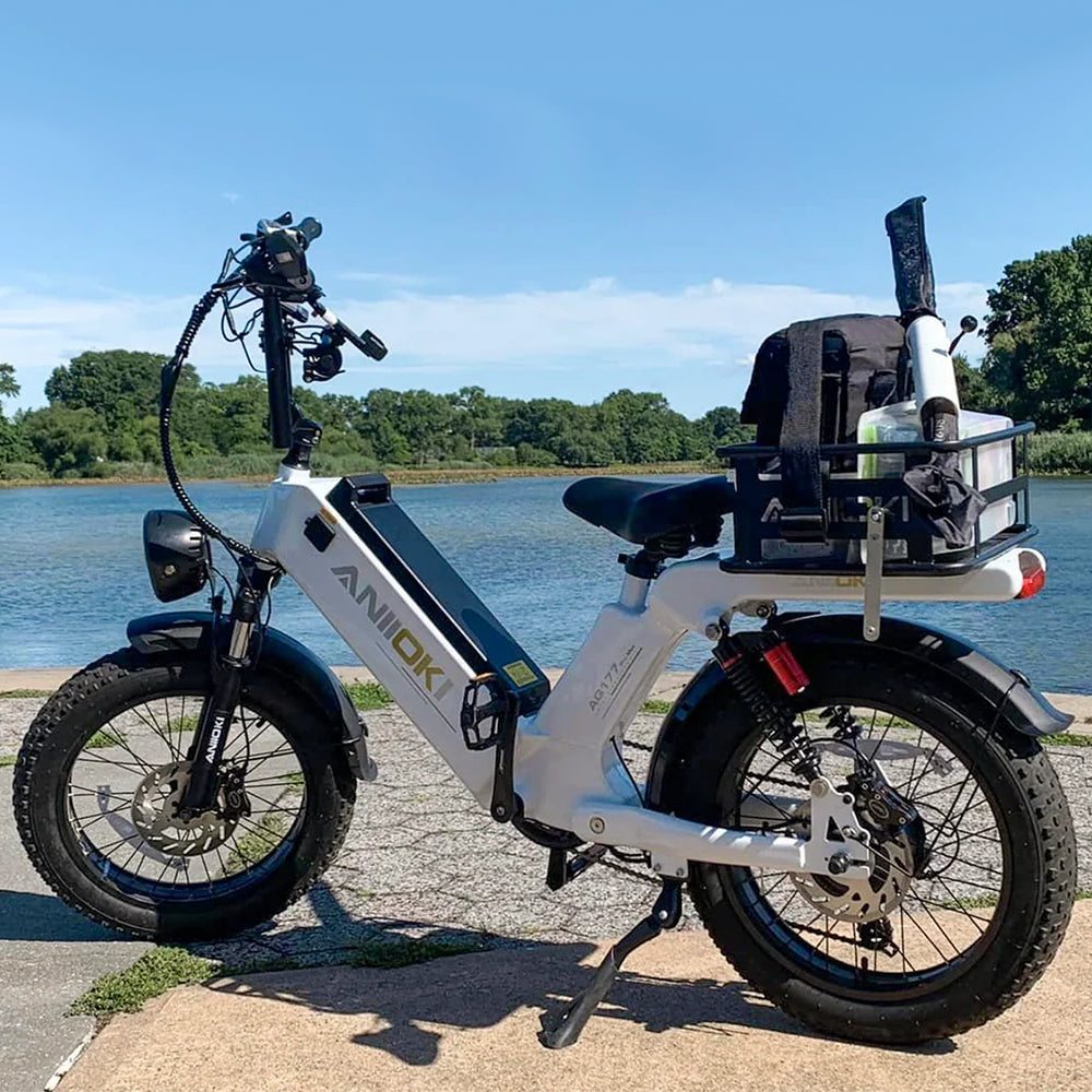 Aniioki Rear Cargo Basket